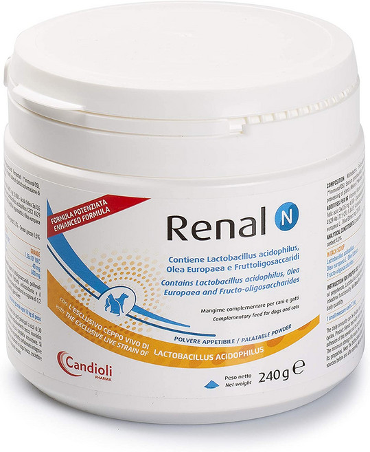 레날 N 반려견/반려묘 신장질환보조 영양제 240g, 1개