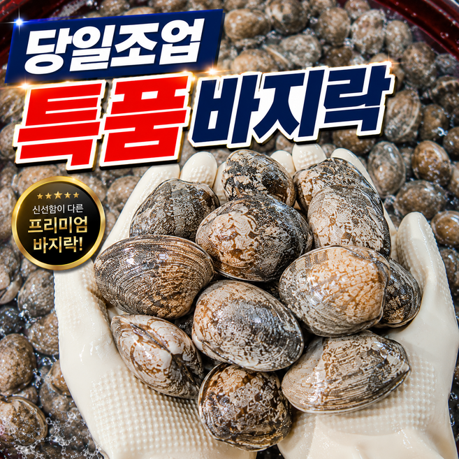 [재구매1위] 남해 특품 왕 바지락 국산, 1개, 1kg