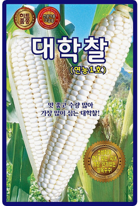 KS종묘 대학찰 옥수수 씨앗 70립 연농1호 옥수수씨 종자, 4개