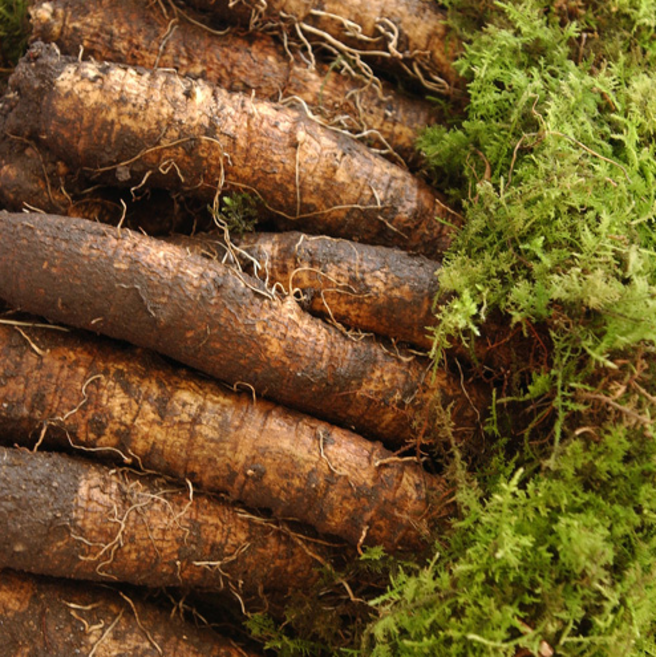 <컴팜>제주 더덕 "상" 한정 물량 행사용 2kg 단품, 제주 더덕 상 2kg, 1개