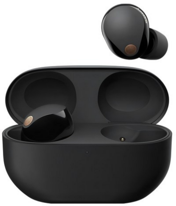 소니 노이즈캔슬링 블루투스 이어폰, WF-1000XM5, 블랙