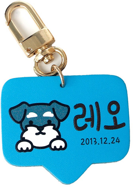 반려동물 고리형 인식표 강아지 외출용 이름표, 기본체, 블루, 1개