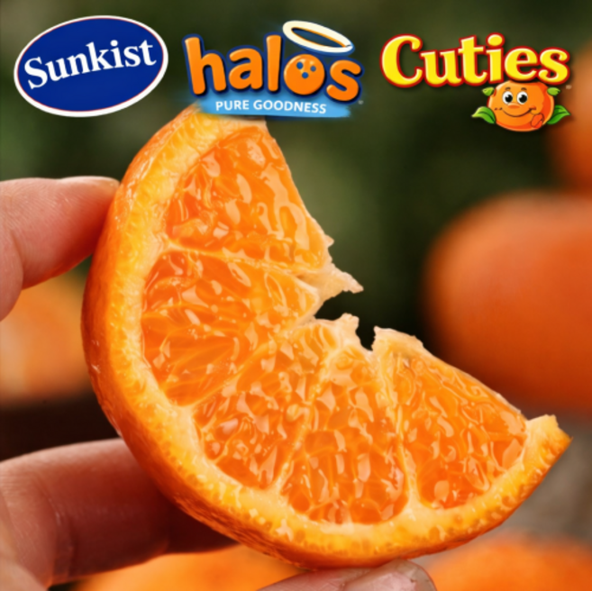 [호텔납품] 블랙등급 14brix 캘리포니아 만다린, 1개, 3kg