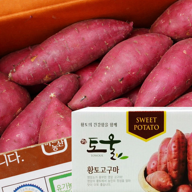품질보증 영암 토울고구마 꿀고구마, 1개, 토울 고구마 10kg 긴특상