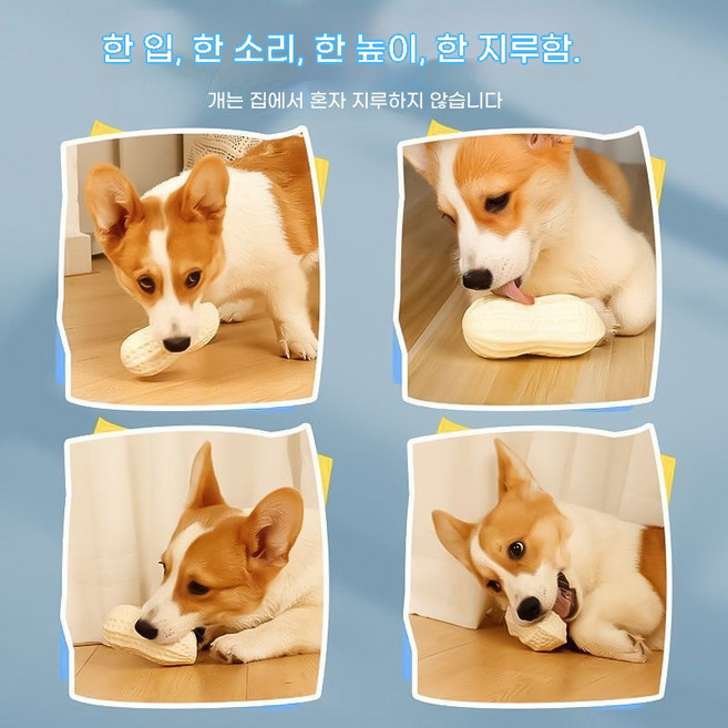 전견종 공용-땅콩 소리 장난감-내구성+치석관리, 1개, 크림색