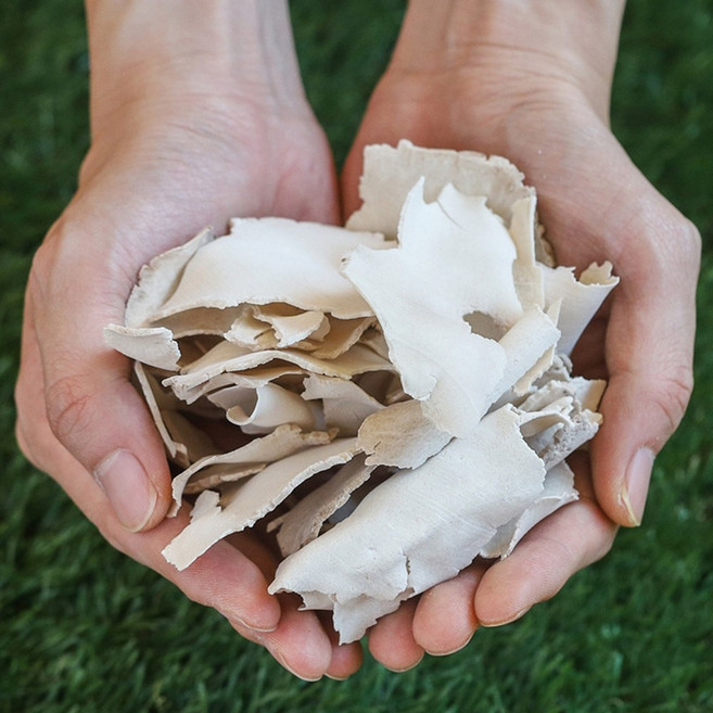 국산 말린 백복령(편) 200g 차 봉령 복령 백봉령 건조 건 한방, 1RHX_국산백봉령(편)200g, 1개
