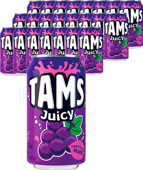 롯데 탐스 쥬시 포도 355ml 24캔 탄산음료 달콤한