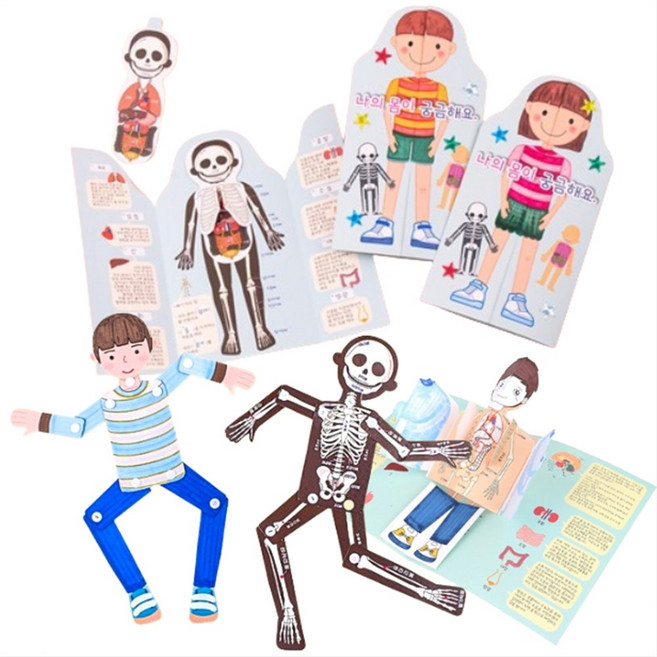 우리몸 신체장기 이름 공부 유아 미술활동 만들기, 3. 인체 장기명칭 공부 관절인형