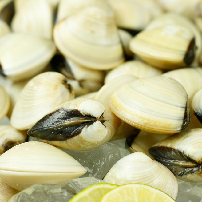 해감 완료 간편한 냉동 백합 조개 2kg, 2팩, 팩당1kg