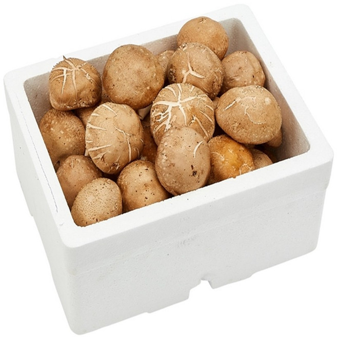 친환경 표고버섯 2kg, 1개, 못난이2kg
