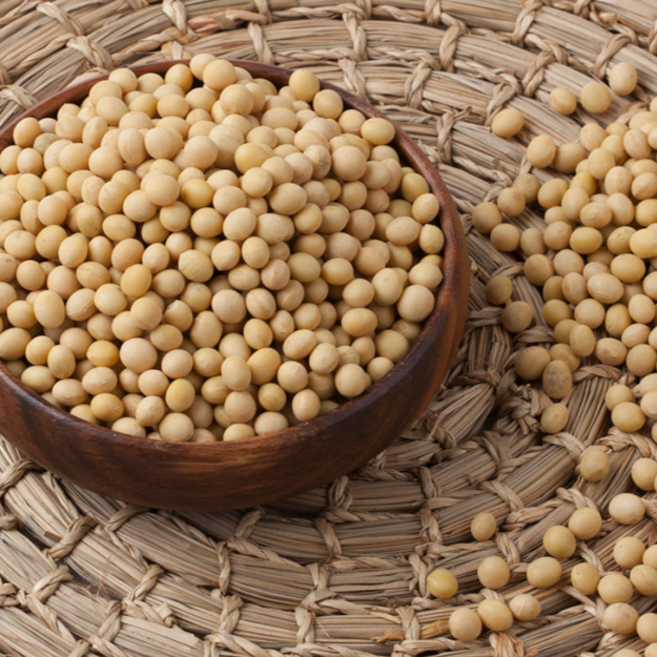 [25년산][늘찬팜] 국내산 잡곡 백태 콩 메주콩 콩국수용, 2개, 1kg