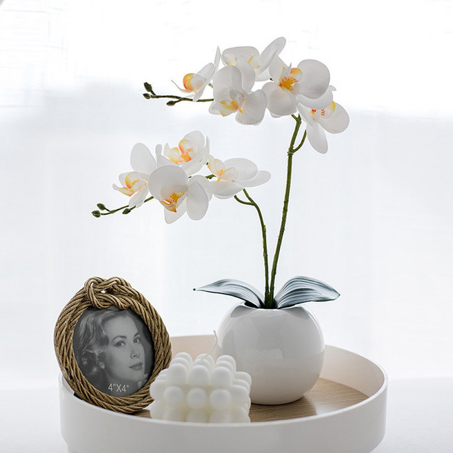 하스몰 팔레놉시스 조화 꽃 미니 화분 인테리어 테이블 장식, 화이트, 1개