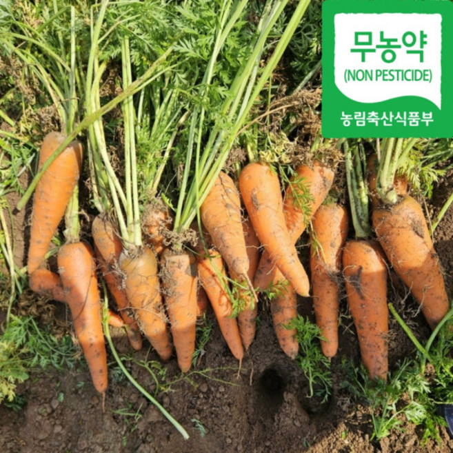 [위천농산물] 국내산 친환경 무농약 흙당근(정품 비품 못난이 당근주스 당근즙용), 1박스, 5kg 비품(주스용당근, 사이즈다양함)