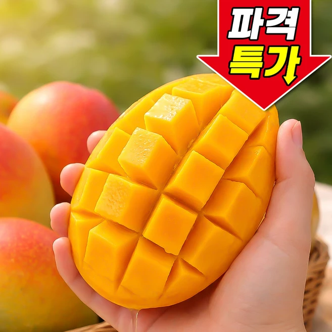 [파격특가] 태국 무지개망고 마하차녹 초고당도, 1박스, 2.5kg - 쿠팡