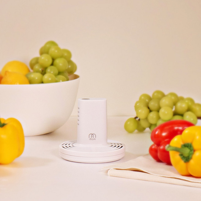 모오아 안녕 과일세척기V2 무선 야채 과일 잔류농약제거 살균 소독 세척 이유식준비, 1. 1세트 우리집 과일세척기V2