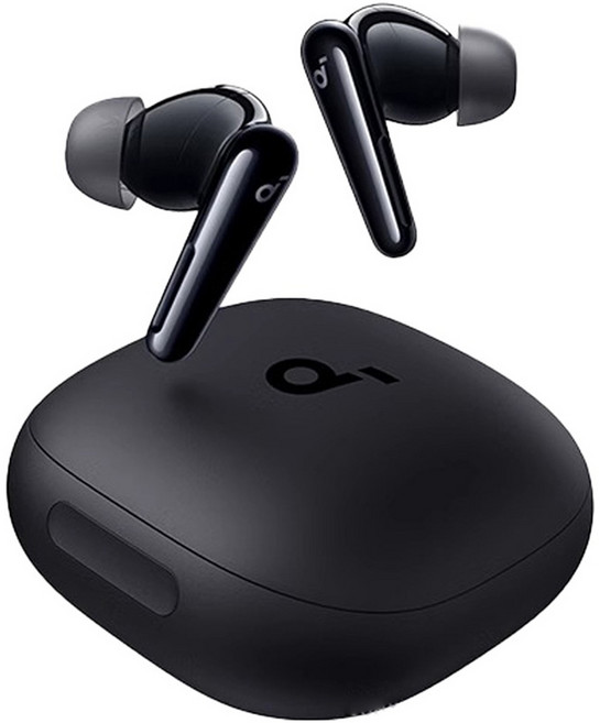 앤커 리버티 4 프로 블루투스 이어폰, 블랙, A3954