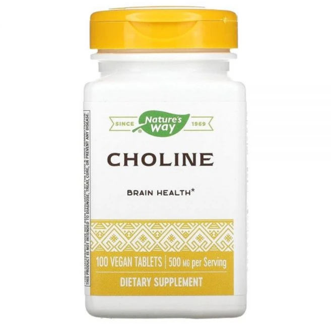 Natures Way 500Mg 100 Tb 콜린 CT, Natures Way 500Mg 100 Tb 콜린, C, 1 - 쿠팡