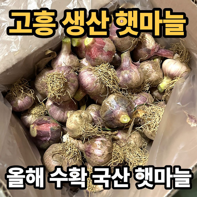 [산지직배송] 국산 고흥 창녕 의성 2026년 햇마늘, 1박스, 3kg