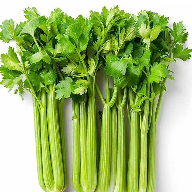싱싱한 국산 셀러리 샐러리 특품, 1박스, 3kg