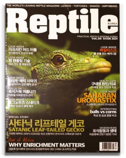 렙타일 매거진 9호, 1개