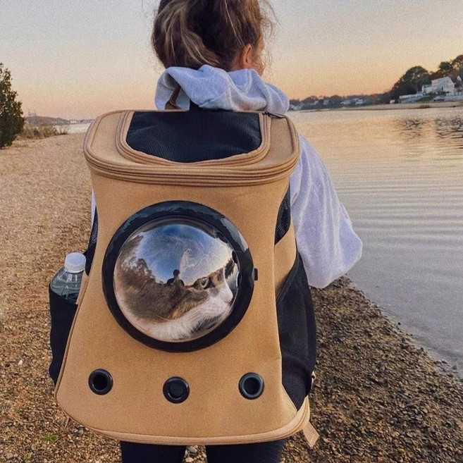 초대형 고양이 배낭 애완 동물 나들이 휴대용 대형 고양이 배낭 우주 캡슐 팩 코기 시바견, 다크 그레이, 1개