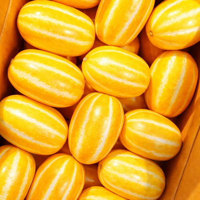 [제철꿀맛] 신선달달 당도보장 아삭한 성주참외, 1박스, 중과(로얄과) 2kg