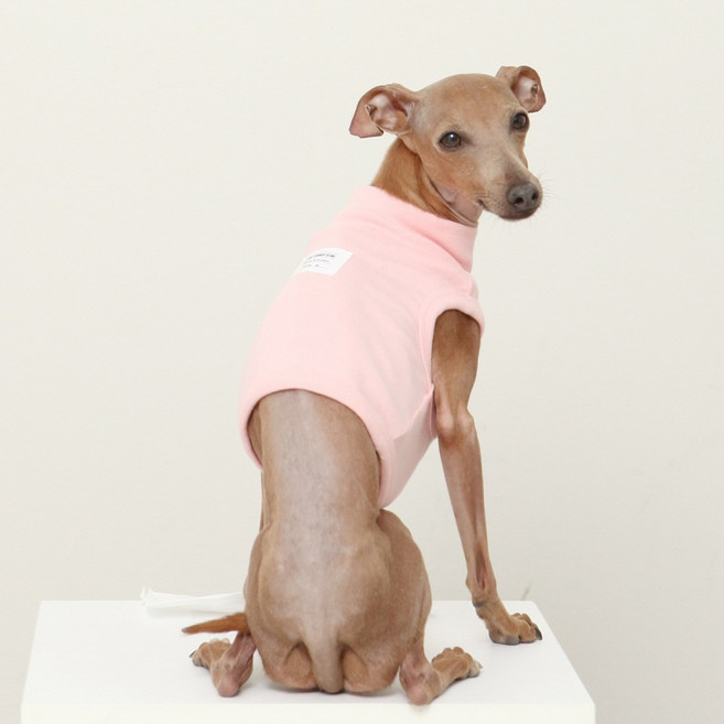 도기스타 아이쥐옷 이탈리안그레이하운드옷 봄 여름 크롭티, 핑크, 1개