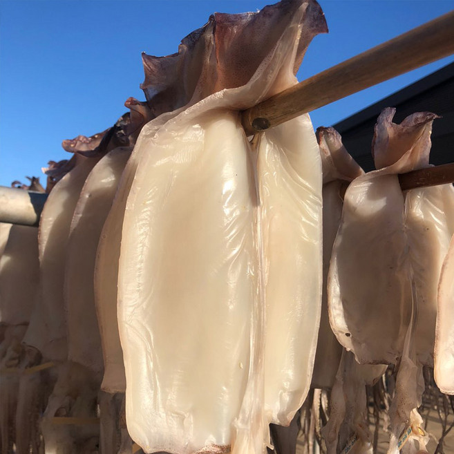 라꼼제이 구룡포 반건조오징어 손질 피데기 5미 350g-850g, 1개, 피데기 반건조 오징어 5미 350g