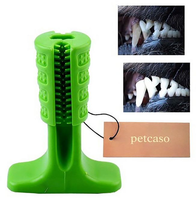 펫카소 강아지 치석제거 이갈이 노즈워크 칫솔 치발기 셀프양치 장난감, 1개, 그린