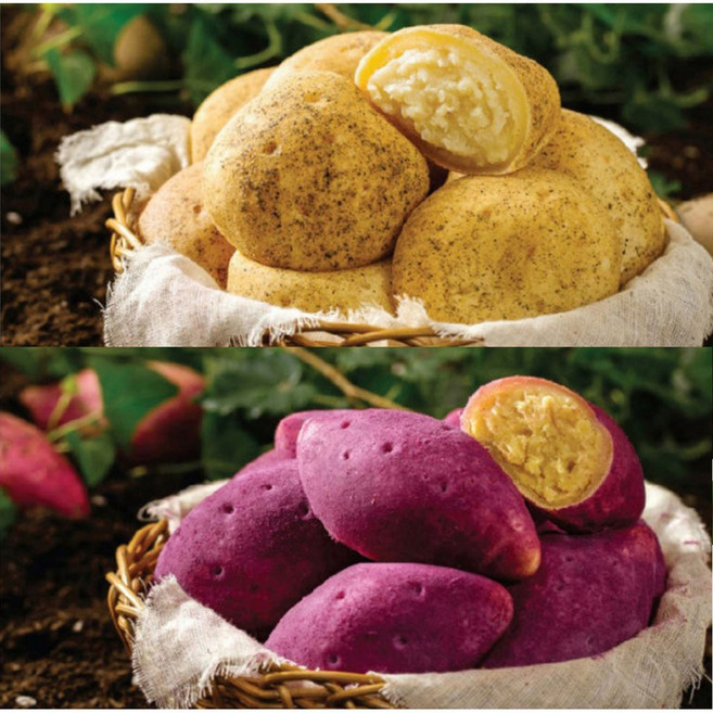 새마원 진짜 감자빵 15개 (1.35kg) + 고구마빵 15개 (1.35kg) 구황작물빵, 30개, 90g