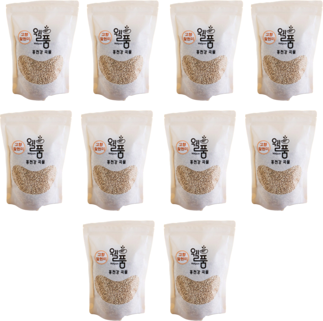 다온팜 홍천 누룽지향 웰품 고향 찰현미 500g 10개