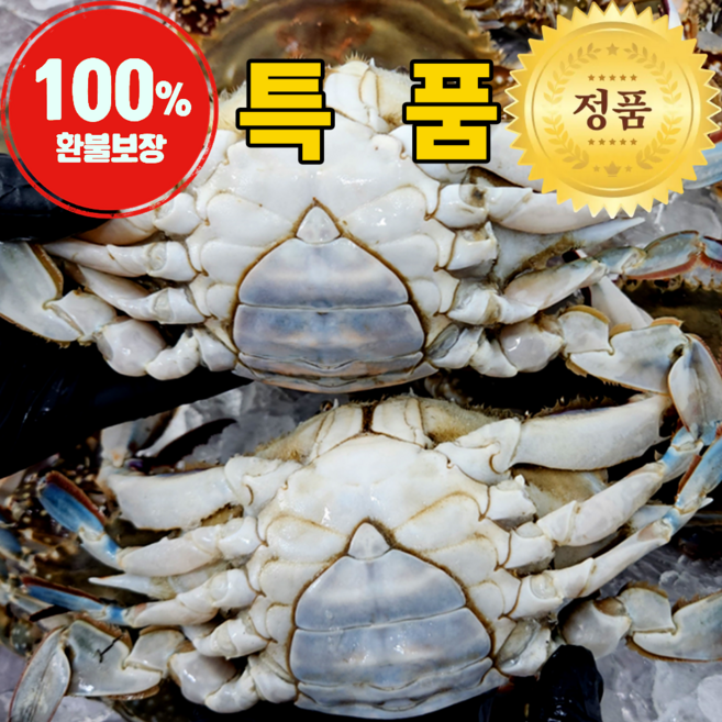 국내산 연평도 급냉 냉동 알배기 암꽃게, 1박스, 2kg(6-10미)