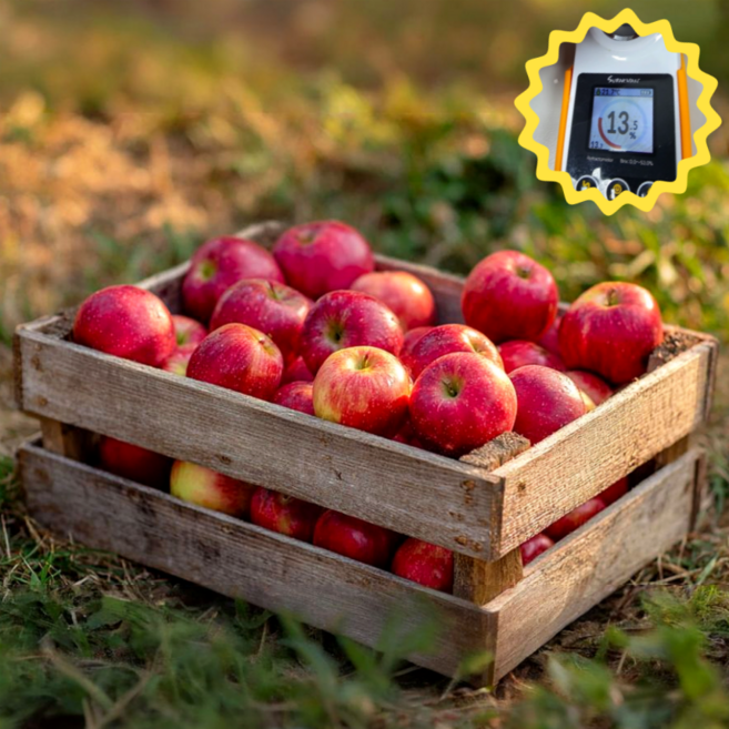 [마진제로특가] 고당도 갓성비 부사 못난이사과, 1박스, 2kg(중과)