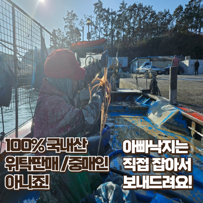 낙지 싱싱한 살아있는 목포낙지 산낙지 산소포장 신선도UP 사이즈별로 골라서 먹자, 중대낙지170g내외, 3개