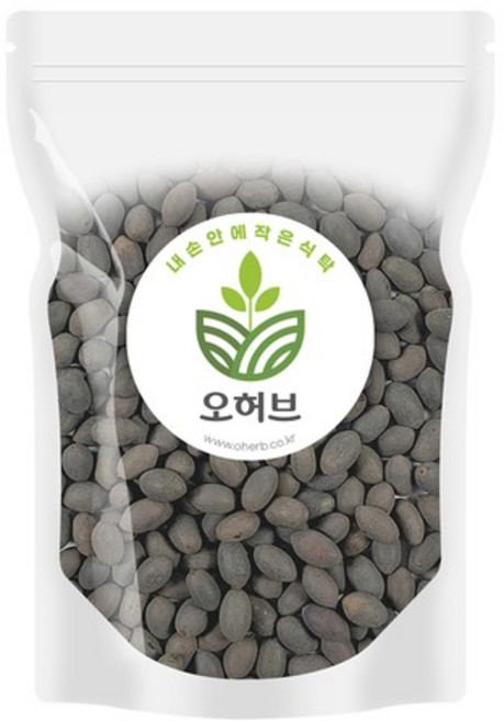 국산 연자육 연꽃씨 연씨 1kg, 1