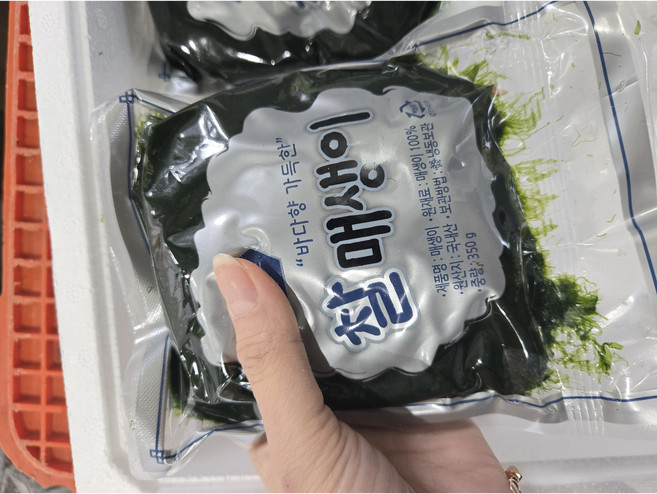 완도 매생이 매생이국용 냉동매생이 350g 지아수산, 3개
