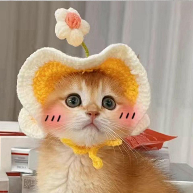 J9 고양이 강아지 꽃모자 반려묘 반려견 패션 소품 코스튬, 1개, 노랑