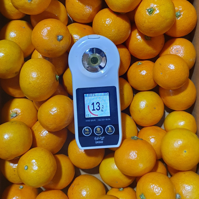 고당도 귤 12브릭스 이상 제주도 밀감 타이벡 노지 비닐하우스 감귤, 1박스, 13~15브릭스 귤 5KG 2S 소과