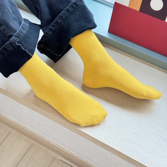 컬러 무지 국산 면양말 2족 여성 긴목 중목 학생 데일리 양말