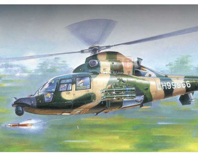 TRUMPETER Chinese Z-9WA Helicopter 1/35 (05109), 1개