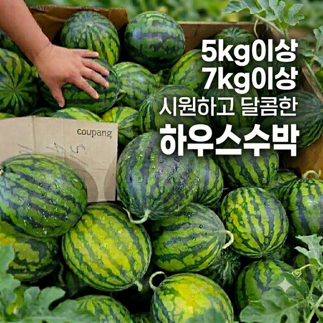 달콤한 과육이 풍부한 고당도 꿀수박 가정용 하우스 수박, 1개, 7-8kg