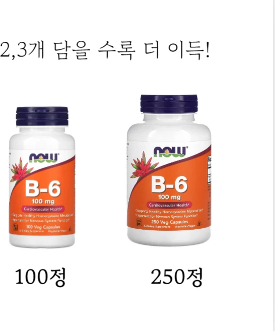 NOW Foods B-6 100mg / 비타민 B6 피리독신 / 심혈관 신경 건강 영양제, 2개, 100정 - 쿠팡