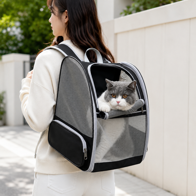융풍 확장형 반려동물 이동가방 강아지 고양이 통풍 백팩 소형견 외출 여행 캐리어, 1개, 블랙