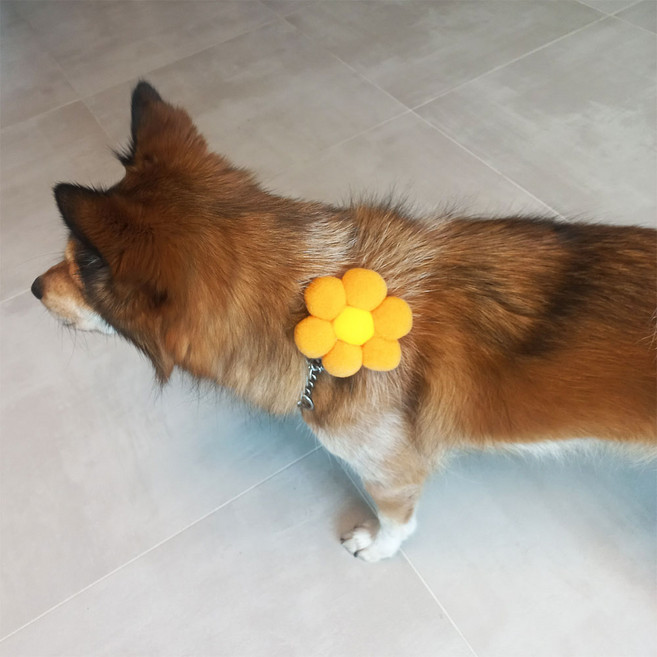 하니펫 반려동물 귀요미스카프 왕 폼폼꽃 보타이, 1개, 주황