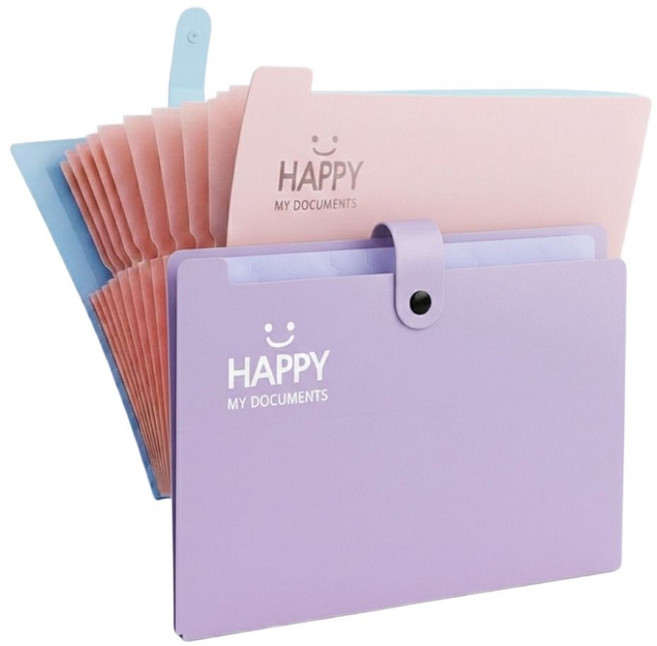배로나 편리한 똑딱이 파일케이스 수납력 12칸, 2개, 퍼플핑크