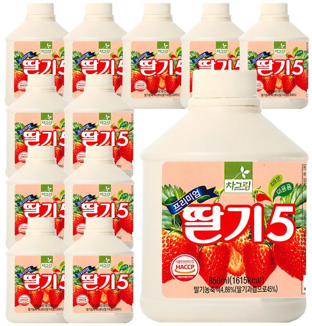 차그림 과일 원액 프리미엄 딸기 5 쥬스, 12개, 850ml