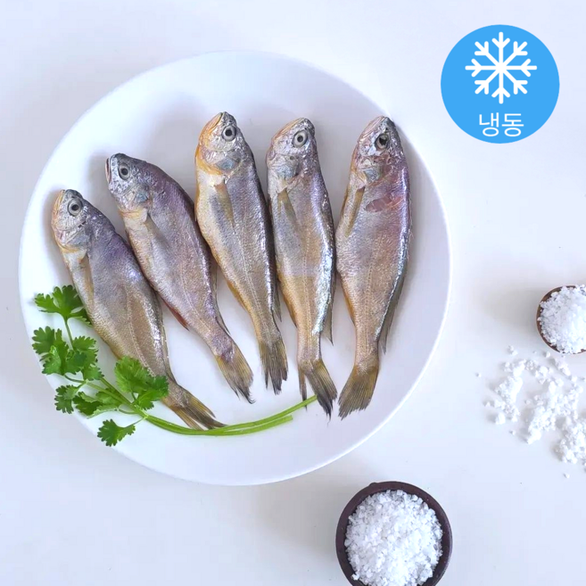 물만난제주 제주참조기 국내산 가정용, 1개, 10마리 (650g)