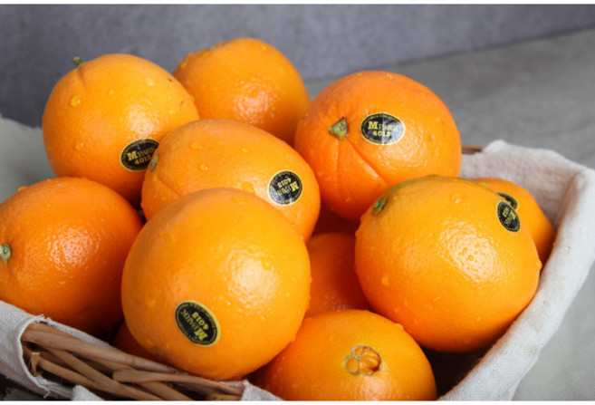 [캘리포니아 오렌지] ㅁ Mpark 캘리포니아 네이블 오렌지 11kg (박스당 25과-최대 37과), 1세트