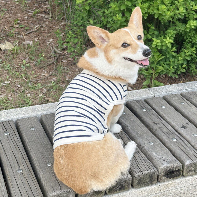 도기스타 웰시코기옷 민소매 여름 크롭티 나시, 곤색줄, 1개