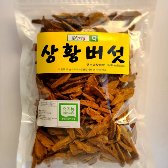 [문상영 버섯]장흥에서 생산된 농장직송 유기농 최상급 상황버섯 실속형 절편, 250g 실속 절편, 1개 - 쿠팡